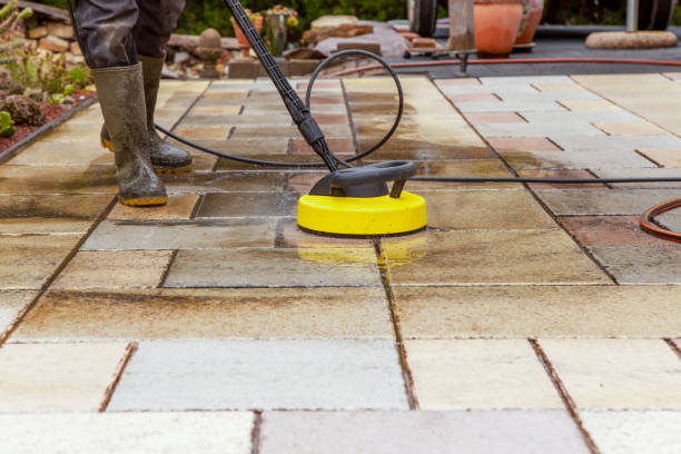 Best Animal Enclosure Cleaning  in Greenport West, NY